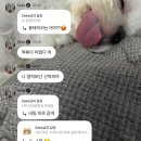 해동일터 | [다이어트일기]시즌479286번째 이제는더이상물러날곳이없다 비만탈출기