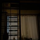 파인땡큐마트 | [삿포로] - 비에이에서 잠시, 비애를 내려놓고 Day 2 (feat. 비에이 투어 추천, 준페이후기)