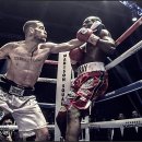 감동권투체육관 이미지