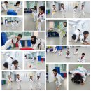 NBT 하이라이트 태권도장 이미지