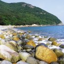 공룡알 팬션 횟집 이미지