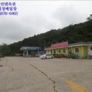 꿀벌주유소 이미지