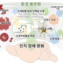 건양대학교 이미지
