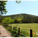 수망리청년회 이미지