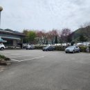 광치막국수 이미지