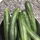 농부맘마트 이미지