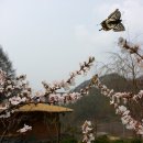 초가민박 이미지