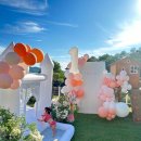 비행기나무 이미지