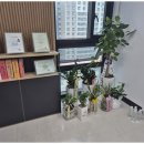 발산세무사 세무회계큰빛을 경험해본 솔직한 후기