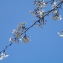 제3노래방 이미지