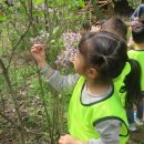 보둠이나눔이어린이집 이미지