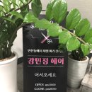 강민정 헤어