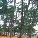 몽산포패밀리데이캠핑장 이미지