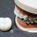 튼튼내이사랑치과의원 이미지