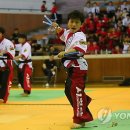 드림특공무술