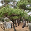 진소농장 이미지