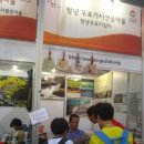 우포가시연꽃마을 이미지