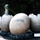 남리5일시장 이미지