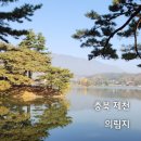 제천 여행 고요한 아침의 산책을 하다. 충북 제천 의림지.