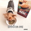 브로콜리 펫푸드 | 하림펫푸드 더리얼 동결건조 오븐베이크드 강아지사료 추천, 성분·기호성 후기