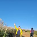 10월7~11일(4박5일) 제주도 추자도,5개섬, 성산일출봉, 섭지코지, 서귀포유람선, 제트보트, 금릉석물원, 올래길, 한라산 이미지