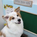 멍테일즈 이미지