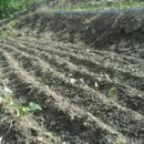 향원농장 이미지