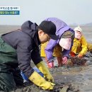 고창바지락칼국수 이미지