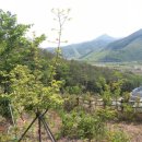 더행복요양병원 이미지