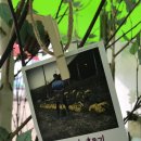 홍이농장 이미지