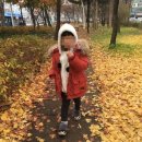 코튼박스