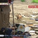 똘이2 이미지