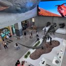 서대문자연사박물관 이미지