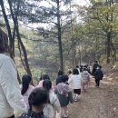 서재아이숲유치원 이미지