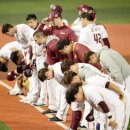 넥센월드 이미지