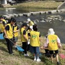 강북초등 이미지