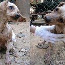 생명의집 이미지