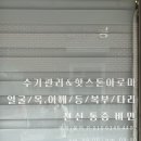 라테라피 이미지