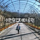 노승산 우무실 마을 | 여주 이천 가볼 만한 곳, 이천농업테마공원 수세미 미스트 만들기 체험(수세미 효능)