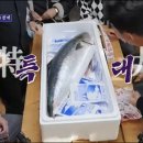 원도낚시 - 통영시 통영해안로 231 | 원도낚시