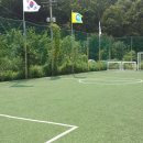 챔프스포츠클럽 이미지