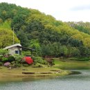 청남대 숲속 펜션 이미지