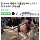 호쇼류 안일하게 대처하다 검은별! 이미지