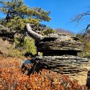 정원행정사 이미지