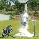 메이드빈 이미지