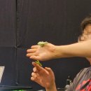 팝스토어중동으뜸점 | 부천 현대백화점 중동점 팝업 :: 다흑의 반딧불이&amp;나비 특별전 방문 후기