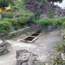 안덕면 통물(감산리) 이미지