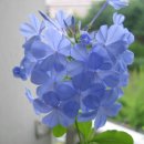 수서농장 이미지