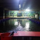 성북낚시터 이미지