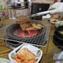 갈비어천가
